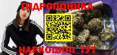 Альфа ПВП Заводоуковск