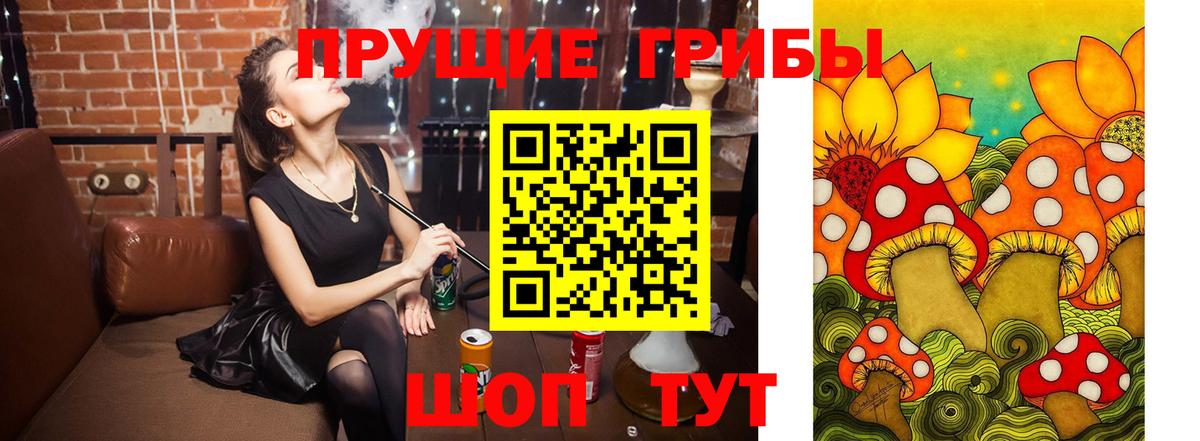 Галлюциногенные грибы мицелий Новокузнецк